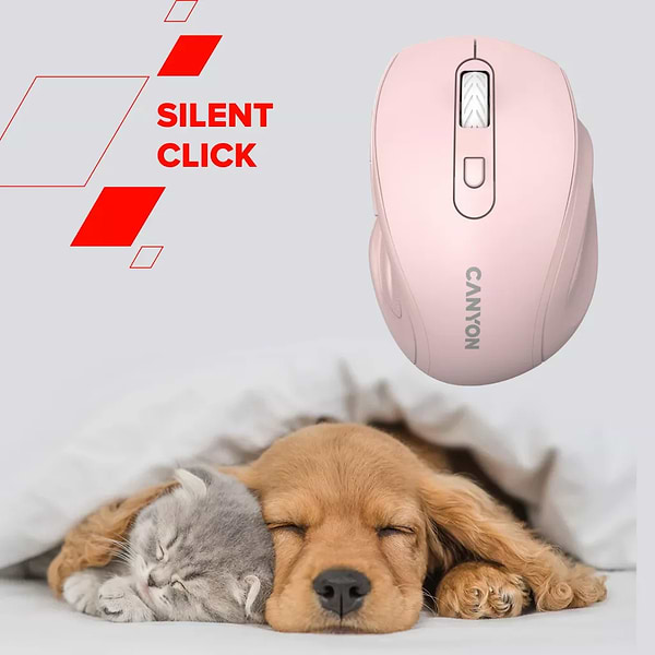 Фото - Мышь беспроводная Canyon OnClick 20 Wireless Ergonomic Silent Pink (CNE-CMSW20P)