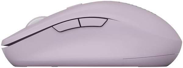Фото - Мышь беспроводная Canyon MW-12 Silent Dual band Pink (CNS-CMSW12P)