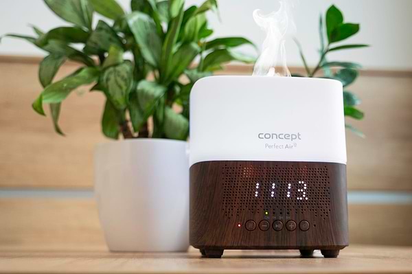 Фото - Увлажнитель воздуха Concept DF2011
