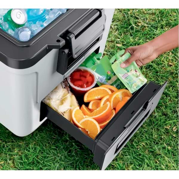 Фото - Термобокс Ninja FrostVault 28L Hard Coole (FB230EUWH)