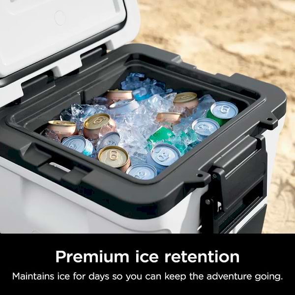 Фото - Термобокс Ninja FrostVault 28L Hard Coole (FB230EUWH)