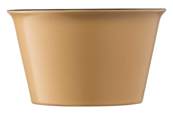 Фото - Бульйонниця Ardesto Cream 550 мл Olive (AR3479OL)