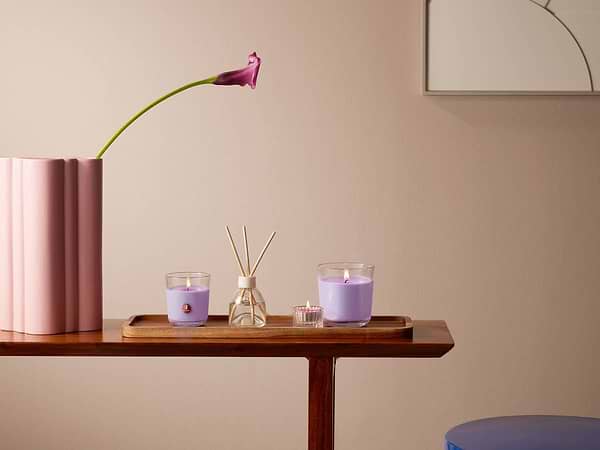 Фото - Набор свечей Bolsius 18 шт. лаванда (983477)