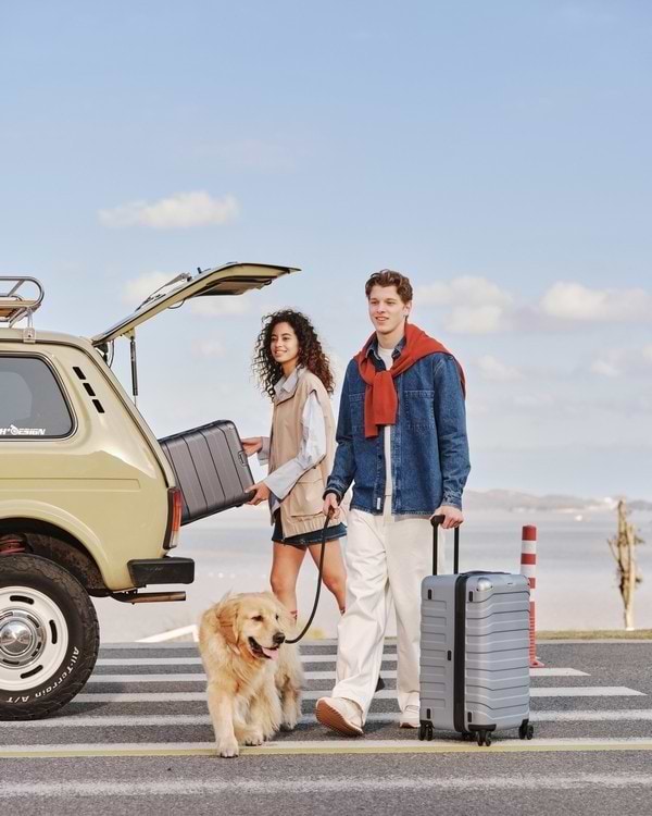 Фото - Валіза NINETYGO Cyber Trunk Luggage 30" Blue (6941413244718)