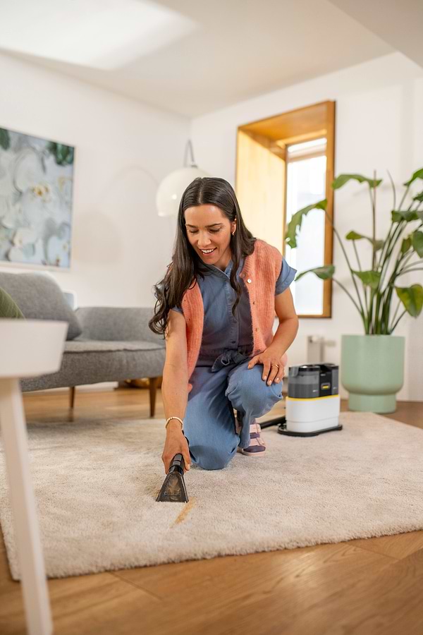 Фото - Пылесос моющий и пятновыводитель Karcher SE 2 Spot (1.081-410.0)