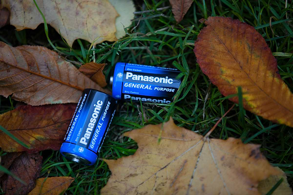 Фото - Батарейка тип D (R-20) Panasonic GENERAL PURPOSE R20 TRAY 2 ZINK-CARBON