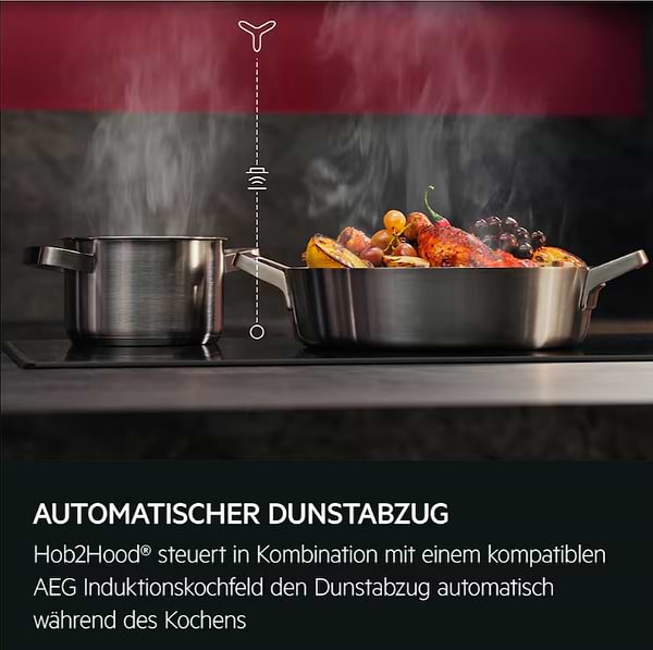 Фото - Витяжка декоративна AEG GB67D61HL