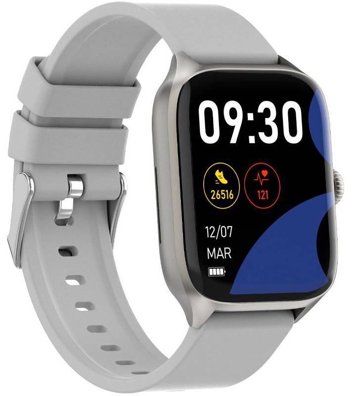 Фото - Смарт-часы Gelius GP-SW012 (Amazwatch GTS) Silver