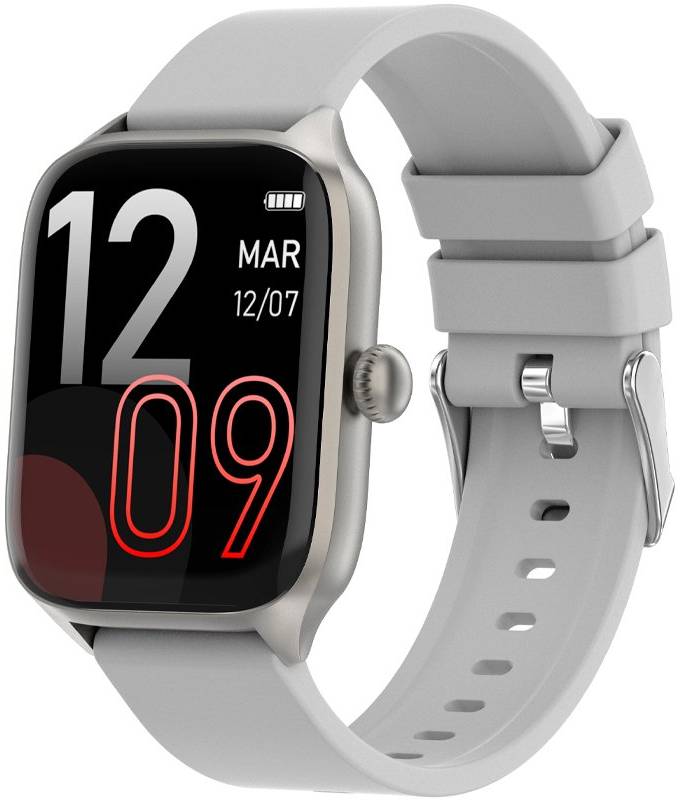 Фото - Смарт-часы Gelius GP-SW012 (Amazwatch GTS) Silver