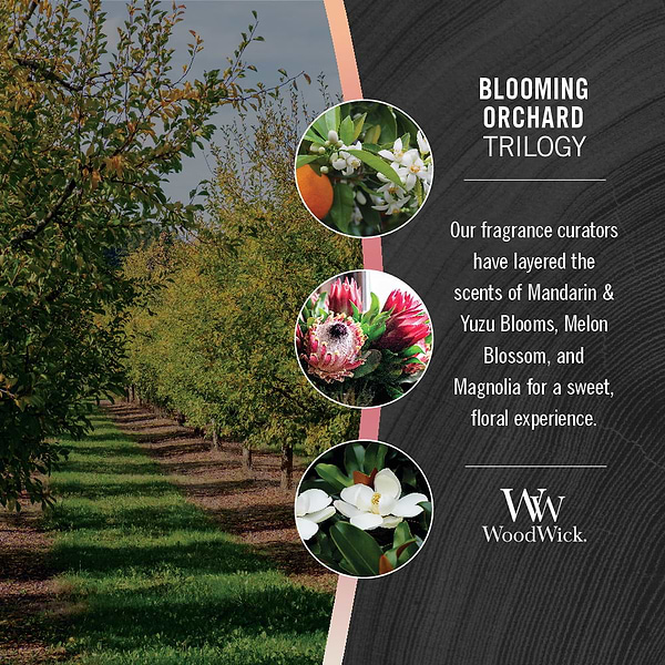 Фото - Свічка скло Woodwick Medium Trilogy Blooming Orchard (Квітучий фруктовий сад) 275г (1728626E)
