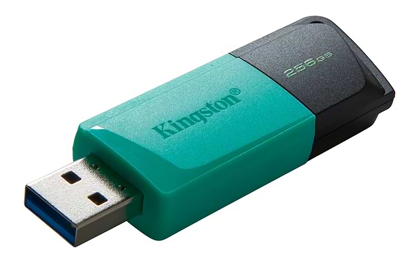 Фото - Флеш USB Kingston DataTraveler Exodia M 256GB Black/Teal (DTXM/256GB)