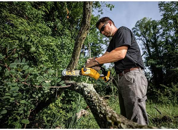 Фото - Ланцюгова пила DeWALT DCMPS520P1