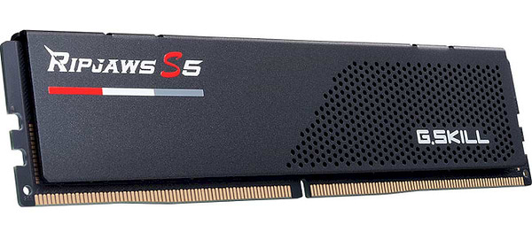 Фото - Память DDR G.Skill DDR5-6000 64GB (2x32GB) Intel XMP CL36-36-36-96 1.35V (F5-6000J3636F32GX2-RS5K)