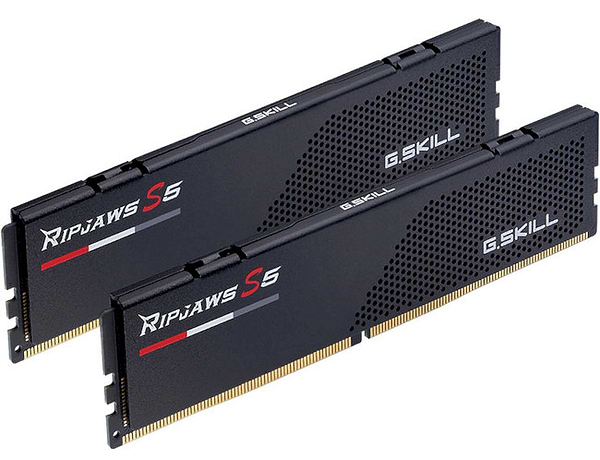 Фото - Память DDR G.Skill DDR5-6000 64GB (2x32GB) Intel XMP CL36-36-36-96 1.35V (F5-6000J3636F32GX2-RS5K)