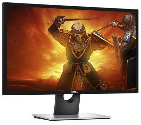 Фото - Монитор Dell SE2417HG (210-ALDY)