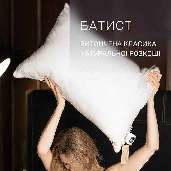 Фото - Подушка стандартна MirSon Hand Made De Luxe Thinsulate 914 60x60 см (2200000556295)