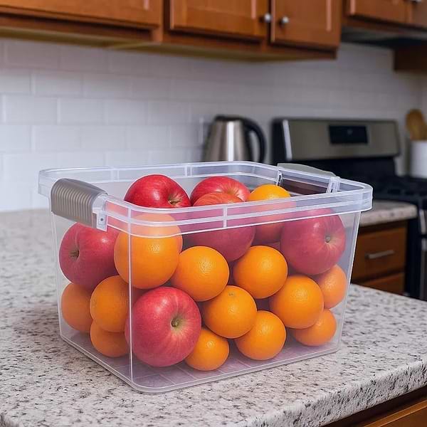 Фото - Ємність для зберігання VIOLET HOUSE 0968 FAMILY BOX 3 л