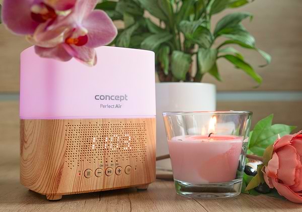 Фото - Увлажнитель воздуха Concept DF2010