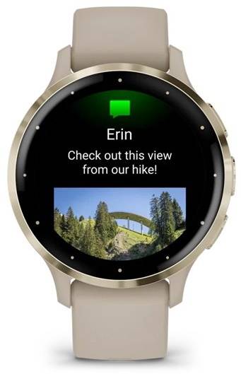 Фото - Смарт-часы Garmin Venu 3S French Gray + Soft Gold (010-02785-02)