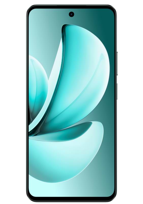 Фото - Смартфон realme C71 8/256Gb Forest Owl