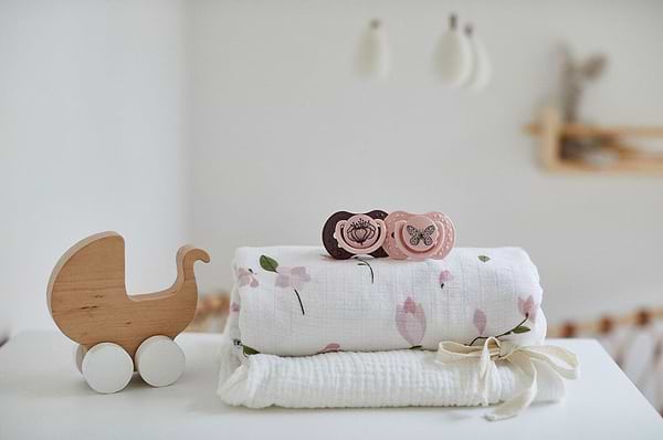 Фото - Динамическая пустышка Lovi 0-3 м-цев 2 шт. Botanic Girl (22/869girl)