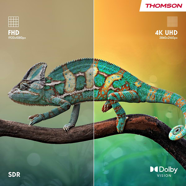 Фото - Телевізор Thomson 50MG7C15