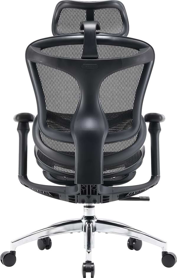 Фото - Крісло офісне Sihoo DORO C300L Mesh Black (DORO-C300L-A3-101)