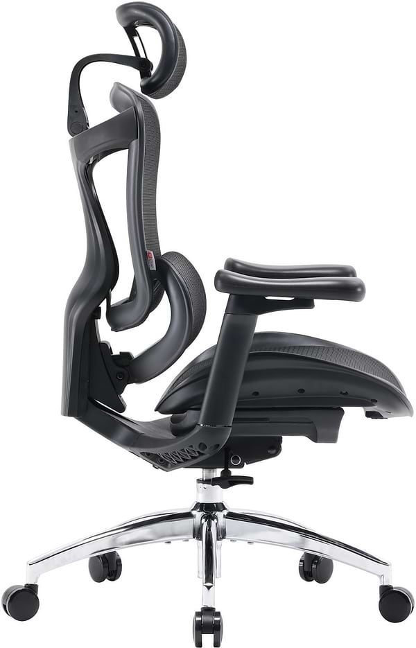 Фото - Крісло офісне Sihoo DORO C300L Mesh Black (DORO-C300L-A3-101)