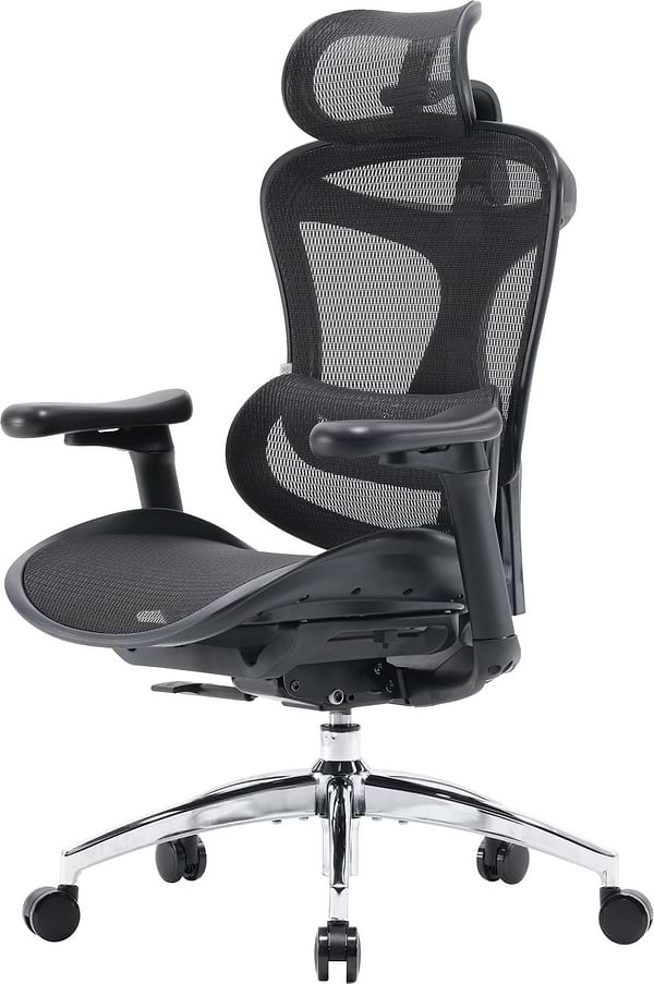 Фото - Крісло офісне Sihoo DORO C300L Mesh Black (DORO-C300L-A3-101)