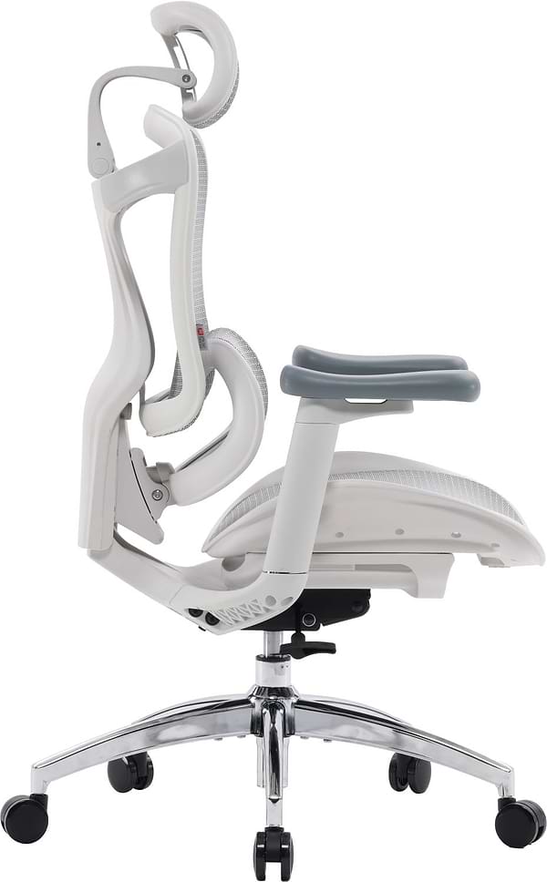 Фото - Крісло офісне Sihoo DORO C300L Mesh White (DORO-C300L-A3-102)