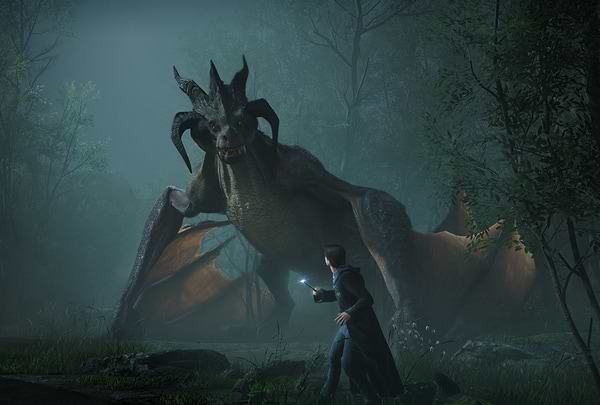 Фото - Игровой картридж Nintendo Hogwarts Legacy [Nintendo Switch]