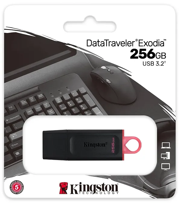 Фото - Флеш USB Kingston DataTraveler Exodia 256GB USB 3.2 Black-Pink (DTX/256GB)