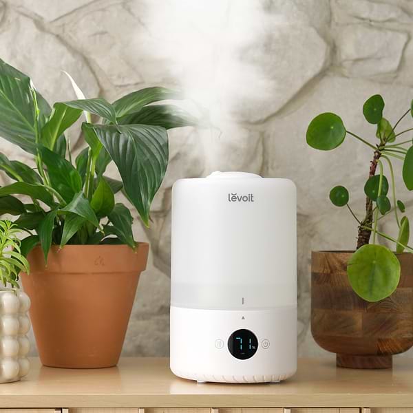 Фото - Зволожувач повітря Levoit Smart Humidifier Dual 200S (HEAPHULVSEU0035)