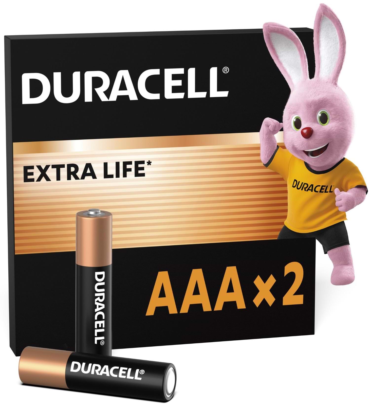 Батарейки Duracell MN-2400 (LR-03) 2шт.