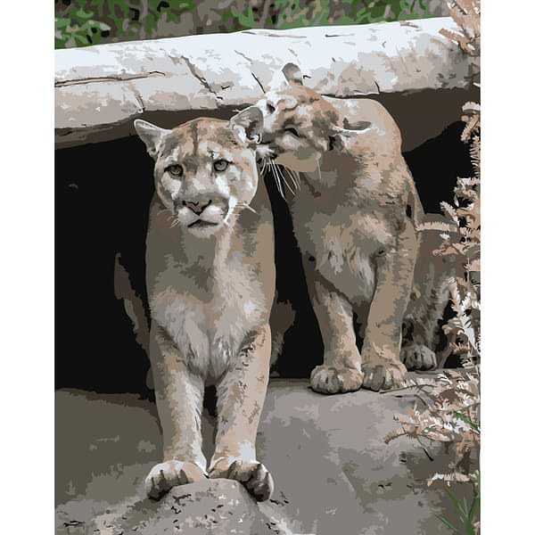 Фото - Картина по номерам Strateg Игривые пумы 40х50 см (DY122)