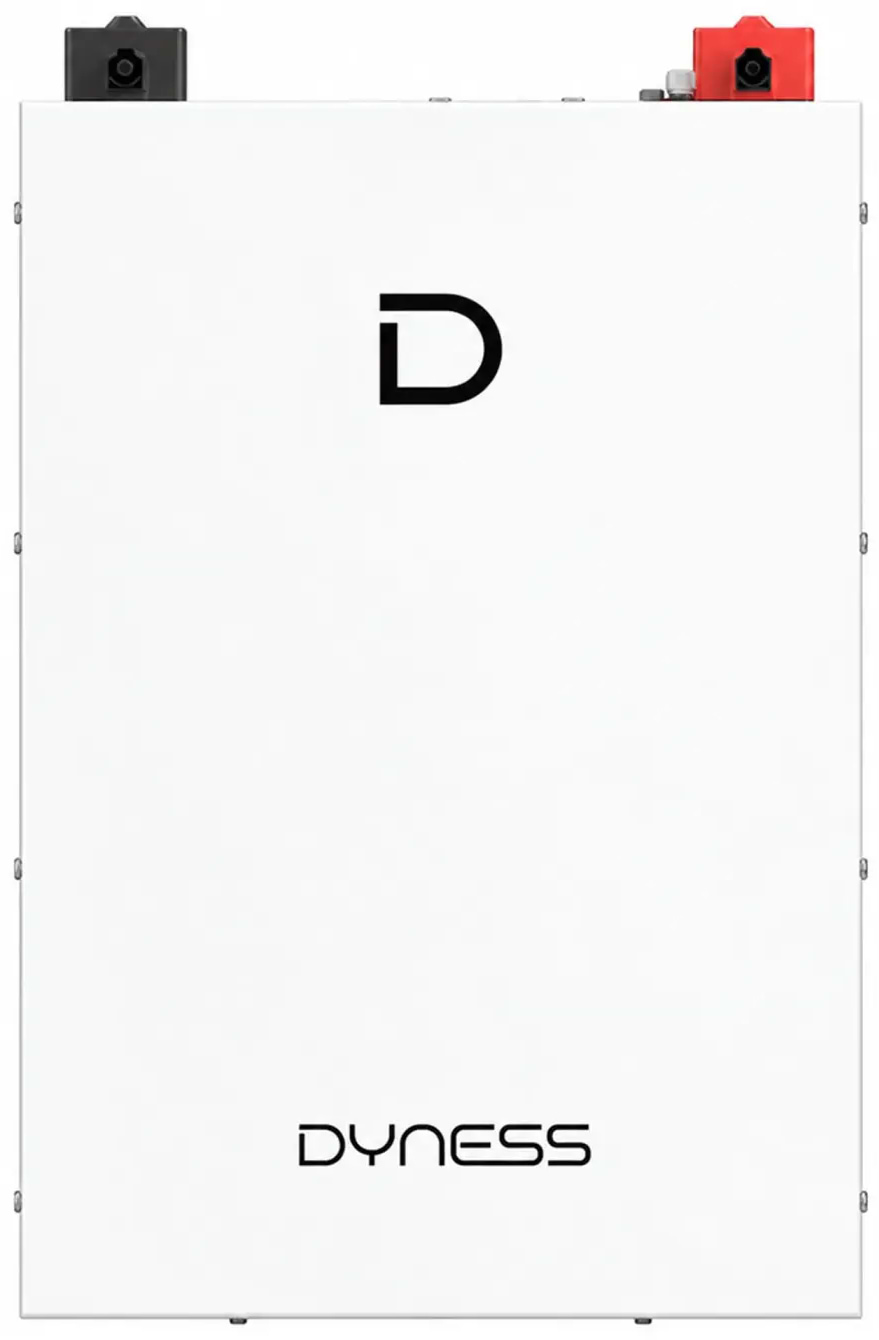 Батарея для солнечного инвертора Dyness 51.2V 100Ah 5.12kWh LiFePo4 (DL5.0F-H)