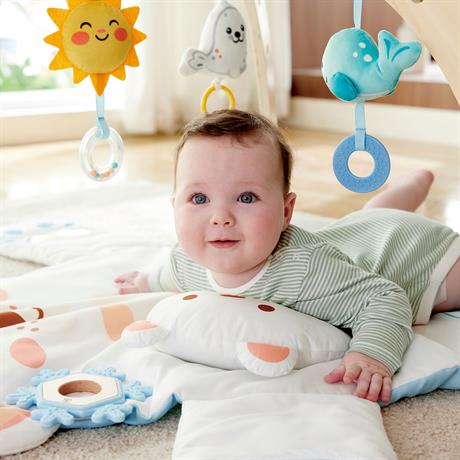 Фото - Развивающий коврик Hape Полярный мишка (E0074)