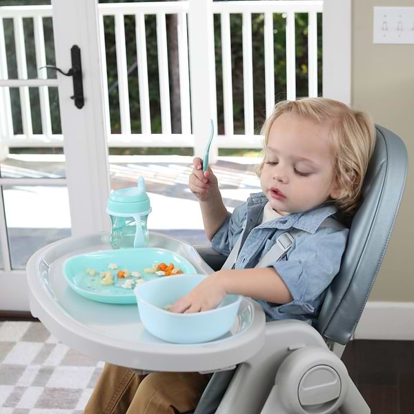 Фото - Набір тарілок для малюка Chicco Dish Set 12 м+ (16002.25)