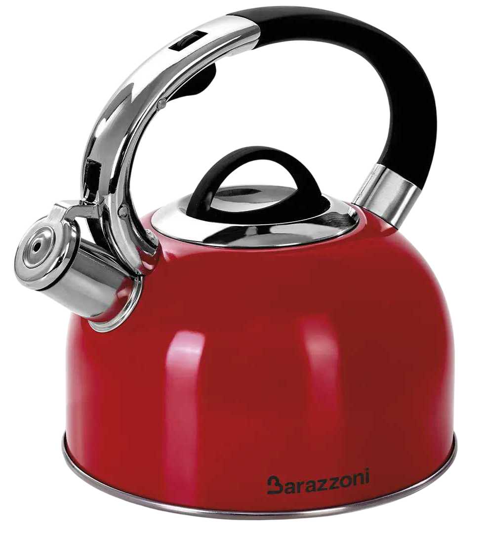 Чайник металевий Barazzoni 2,5 л (802082002)