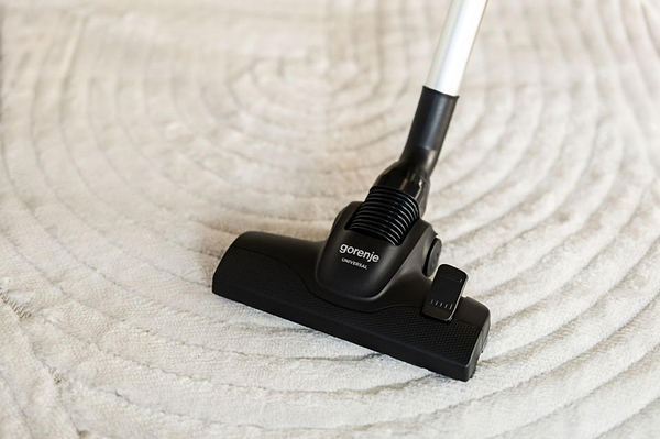 Фото - Пилосос для сухого прибирання з мішком Gorenje VCE22G6HCO