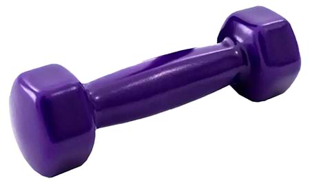 Гантель для фитнеса X-Treme 2.5 кг фиолетовая (XTDBF-25VP)