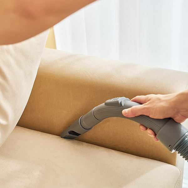 Фото - Пилосос для сухого прибирання з мішком Zelmer Edek ZVC251