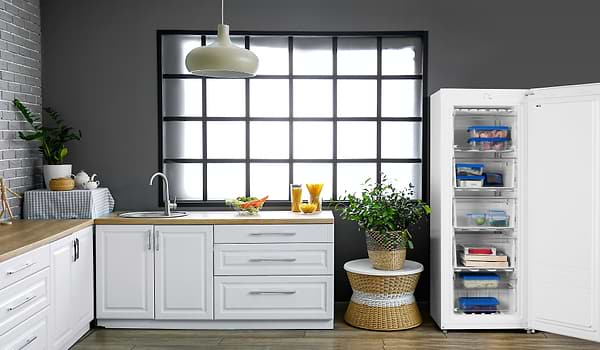 Фото - Морозильная камера ECG EFT 11430 WE