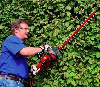 Фото - Кусторез Einhell GC-EH 6055/1 (3403320)