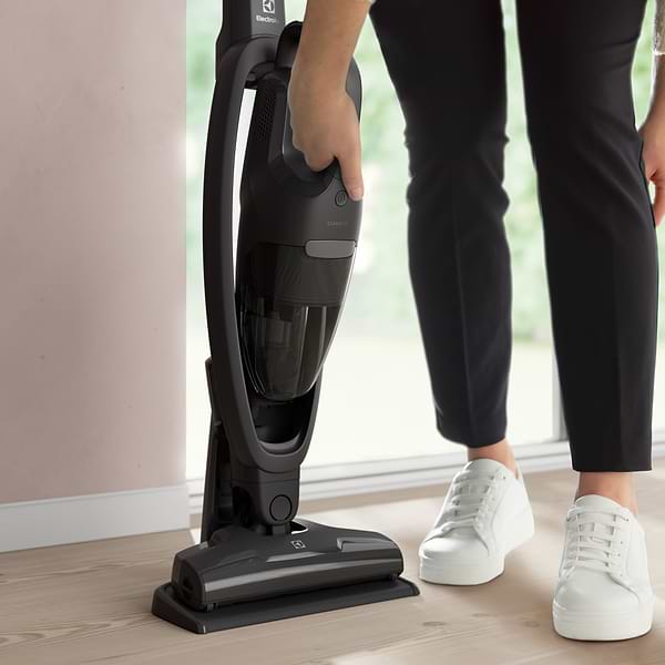 Фото - Пилосос ручний для дому Electrolux ES31CB18GG