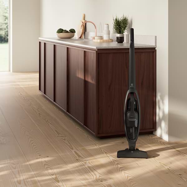 Фото - Пилосос ручний для дому Electrolux ES31CB18GG