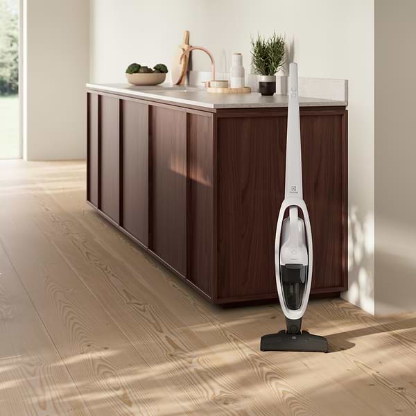 Фото - Пилосос ручний для дому Electrolux ES31CB18SH