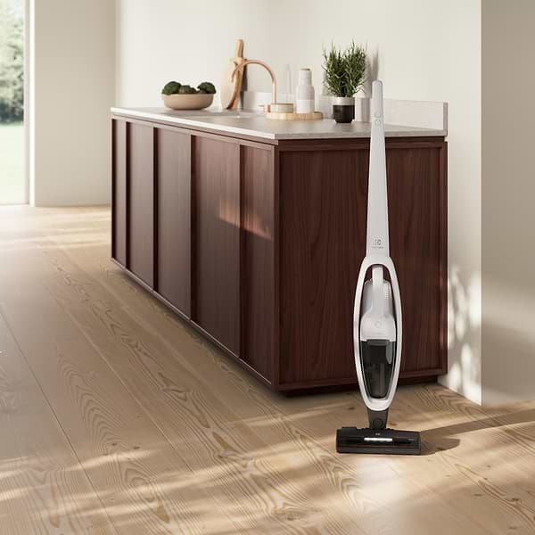 Фото - Пилосос ручний для дому Electrolux ES52CB18SH