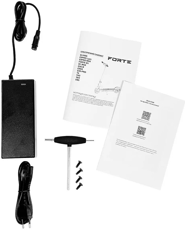 Фото - Электросамокат Forte E9GS