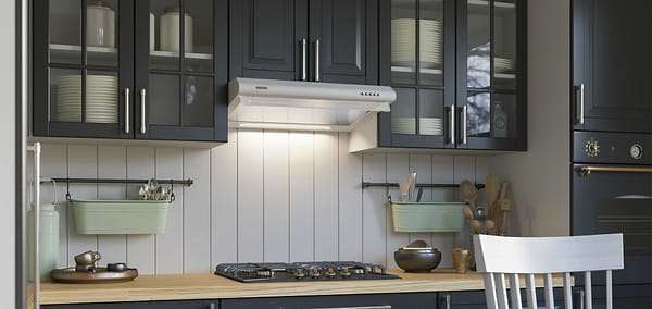 Фото - Вытяжка традиционная ELEYUS City 60 WH